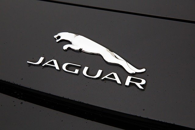 Jaguar car domed badge