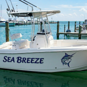 Custom Vinyl Boat Decals and Lettering